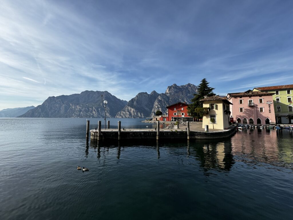 img 4661